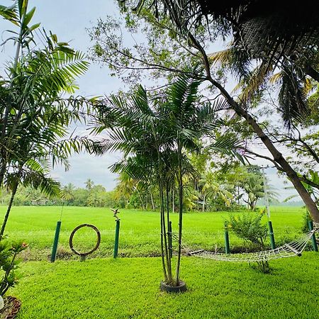 The Green View Yala Tissamaharama Exteriör bild