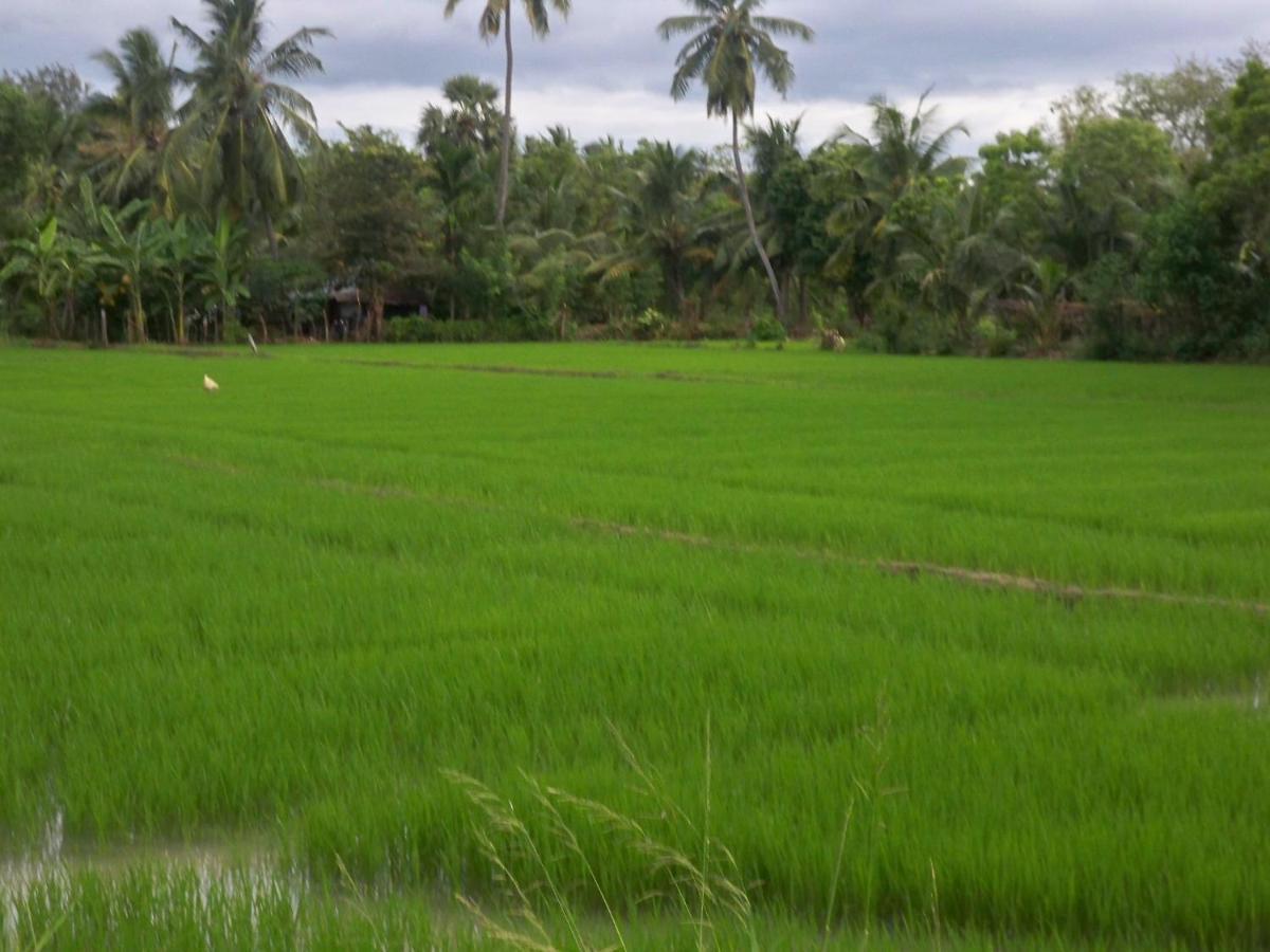 The Green View Yala Tissamaharama Exteriör bild